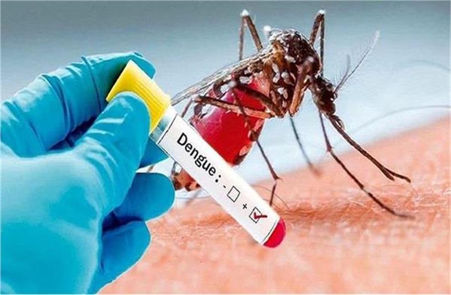 Emergency full of Dengue patients