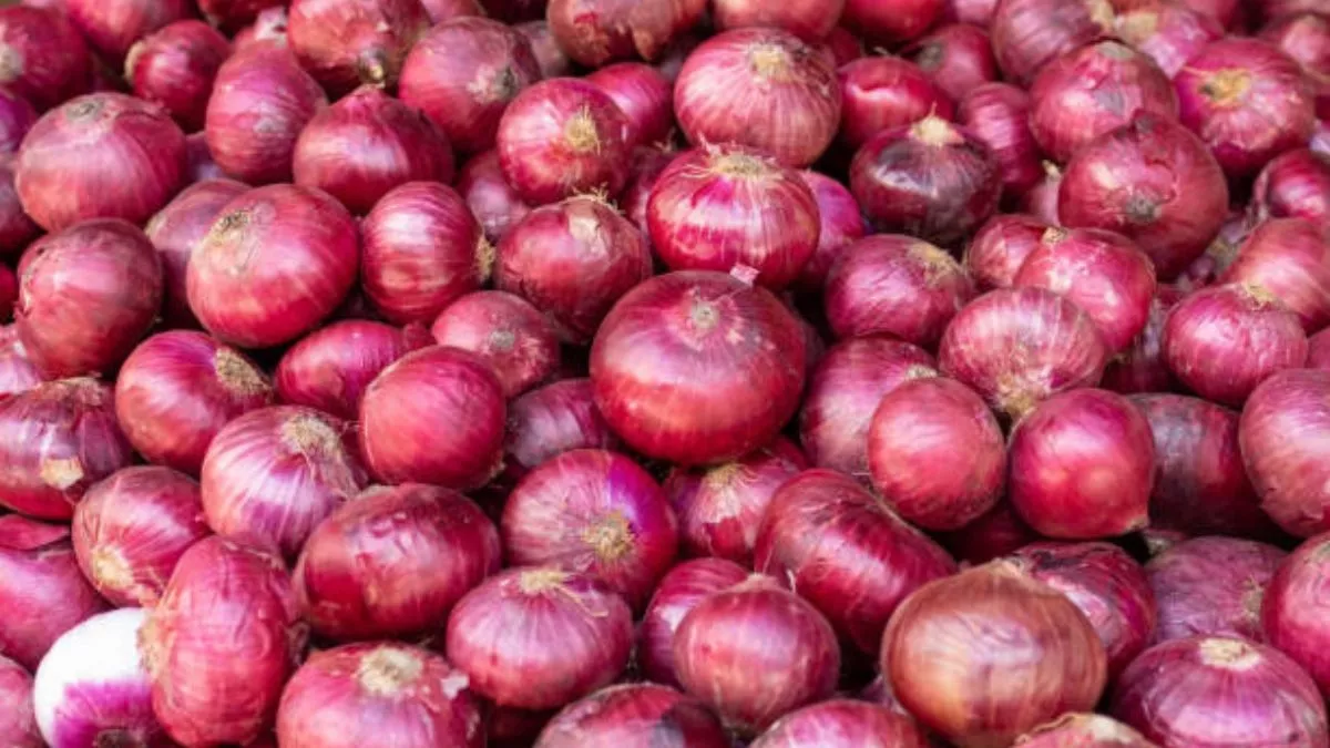 Onion Export : भारत सरकार ने प्याज के निर्यात को दी मंजूरी