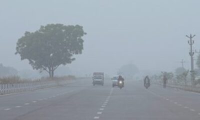 Haryana के 5 शहरों में बारिश का अलर्ट, आकाशीय बिजली गिरने का खतरा..