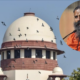 supreme court refuses to accept appolgy of Ramdev and Patanjli