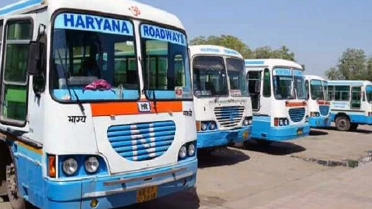 Haryana 41 - Earlynews24